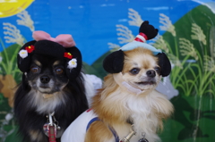 バカ殿＆ツル姫参上