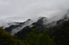 山