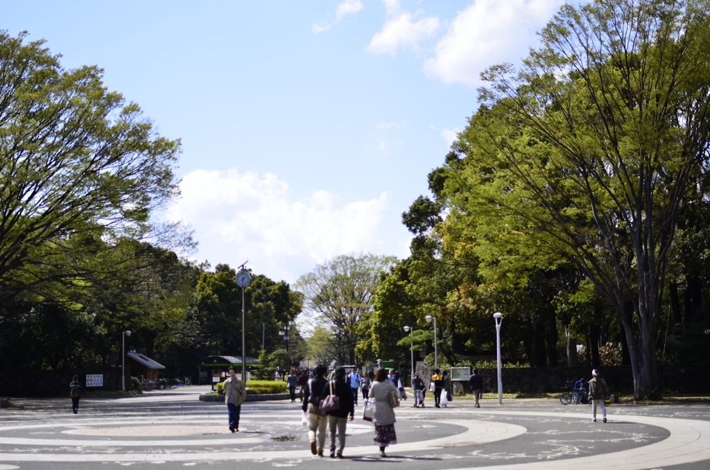 ２０１４．４．４　代々木公園