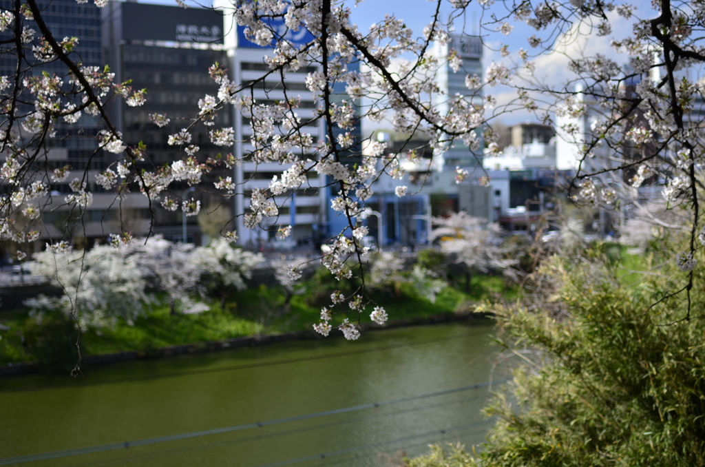 四ツ谷から靖国散歩