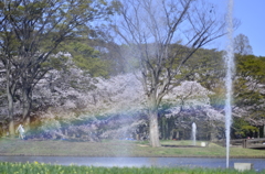 ２０１４．４．４　代々木公園　虹！虹！虹！