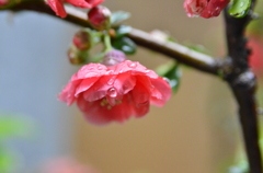 088