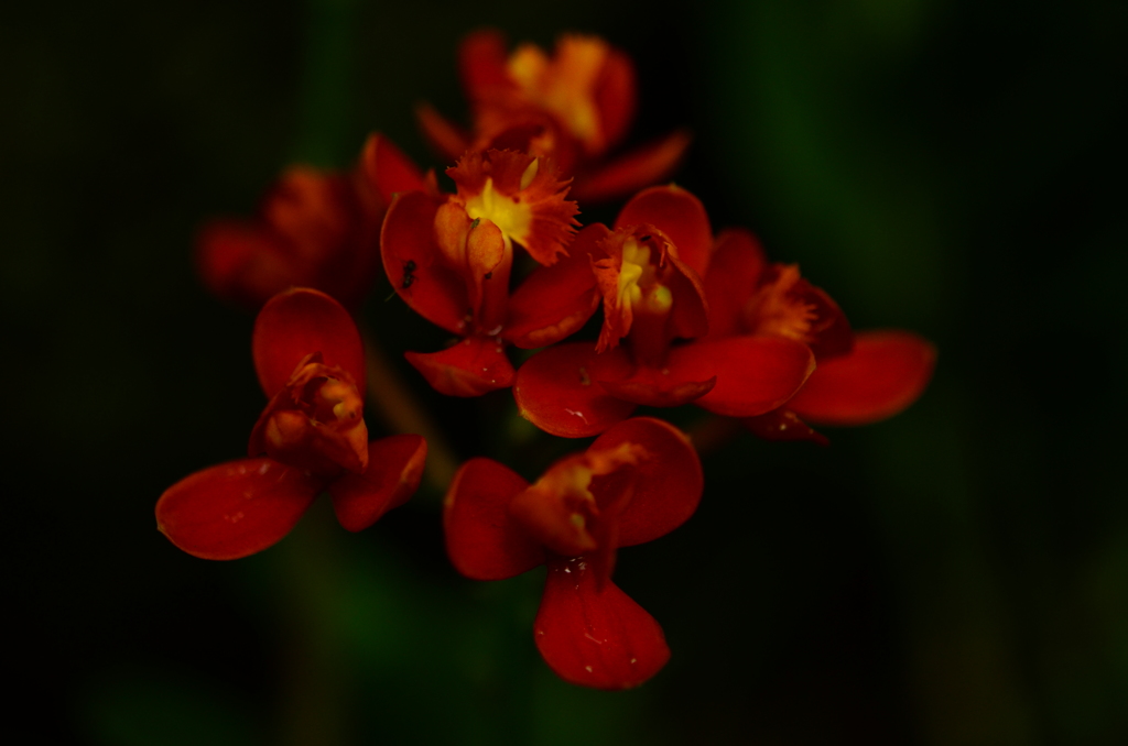 浮かびあがって