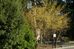 P1000096