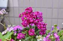 052