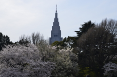 2014・4・1　新宿御苑