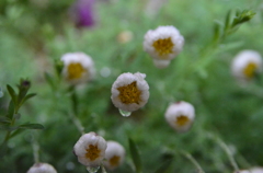 051