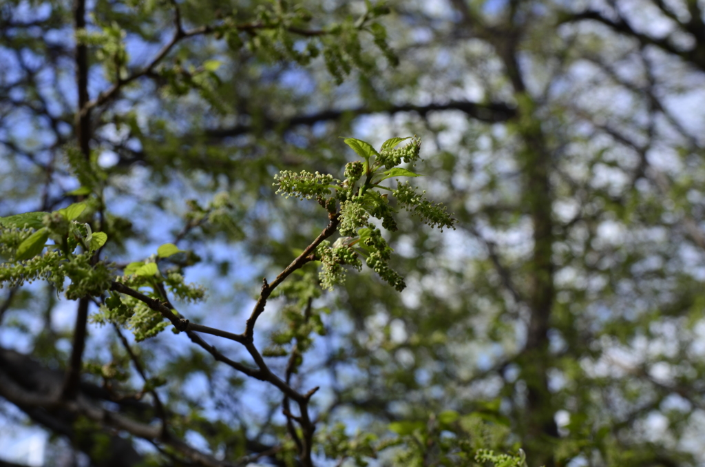 四ツ谷から靖国散歩