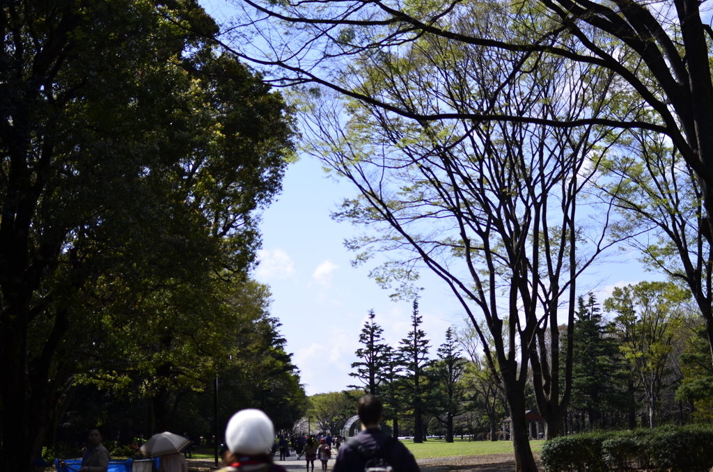 ２０１４．４．４　代々木公園
