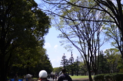 ２０１４．４．４　代々木公園