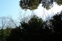P1000037