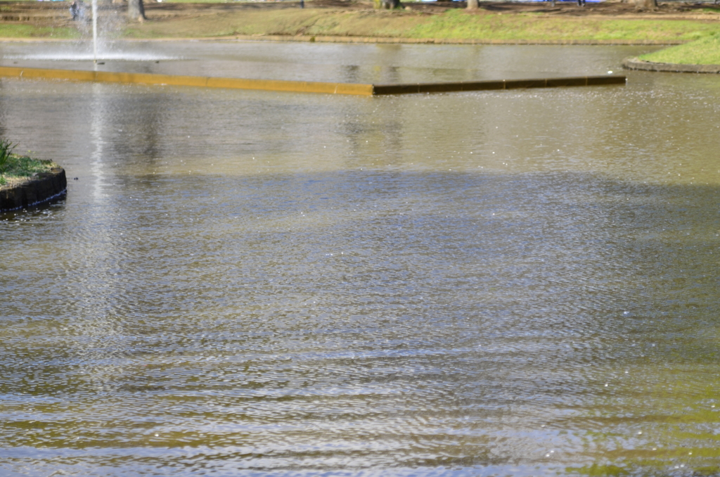 ２０１４．４．４　代々木公園