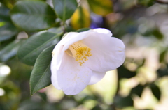 044