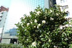 P1000035