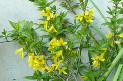 P1000141