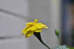 099