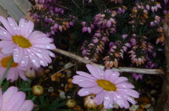 P1000222