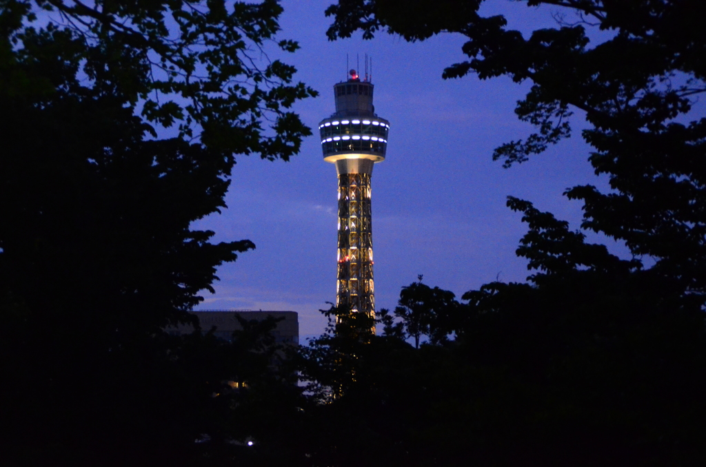 横浜マリンタワー