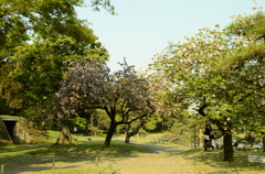 浜離宮恩賜庭園