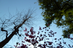 P1000015