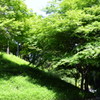 緑の滑り台
