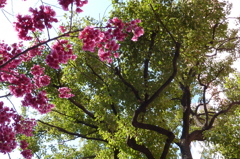 P1000014