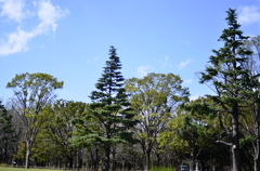 ２０１４．４．４　代々木公園