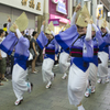 高円寺阿波踊り