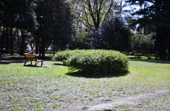 ２０１４．４．４　代々木公園