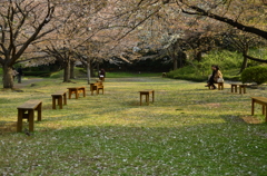 芝離宮