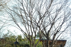 P1000049