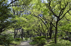 日比谷公園２０１４・４・１１