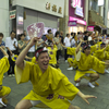 高円寺阿波踊り