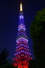 特殊電飾東京タワー
