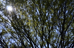 ２０１４．４．４　代々木公園