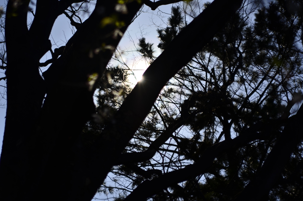 ２０１４．４．４　代々木公園