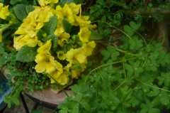 P1000270