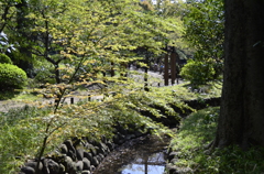 日比谷公園２０１４・４・１１