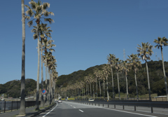 ここはどこの南の国？
