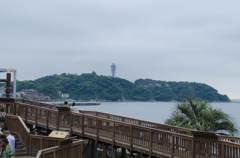 新江ノ島水族館から見た江ノ島