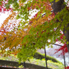長沼公園　紅葉