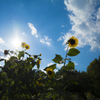 芦花公園　夏の忘れ物