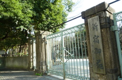 P1000047