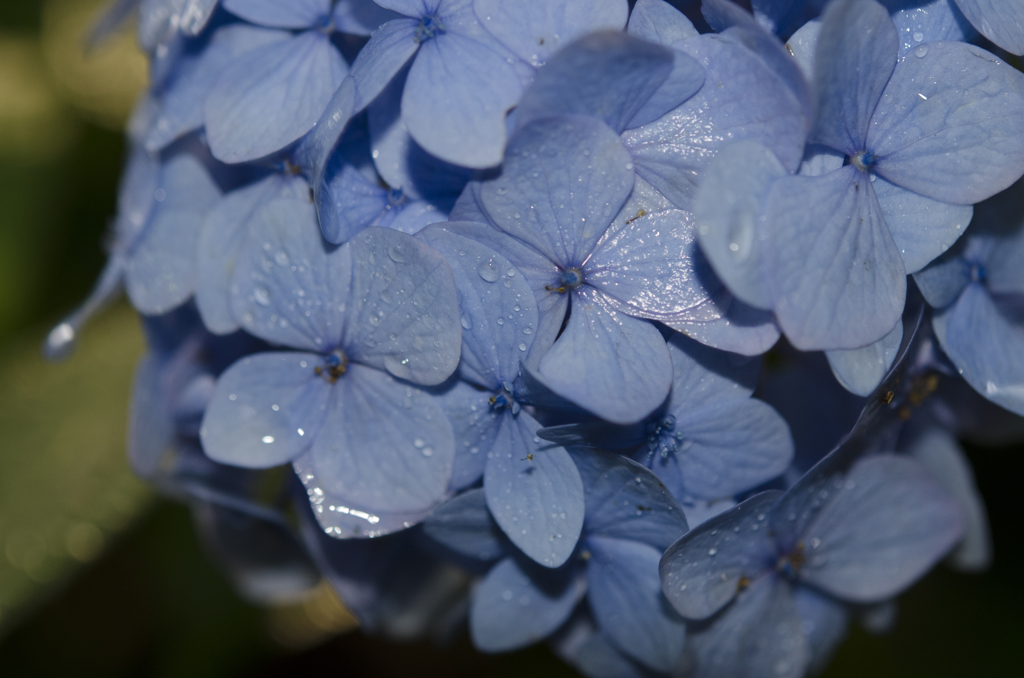 雨染みこんで