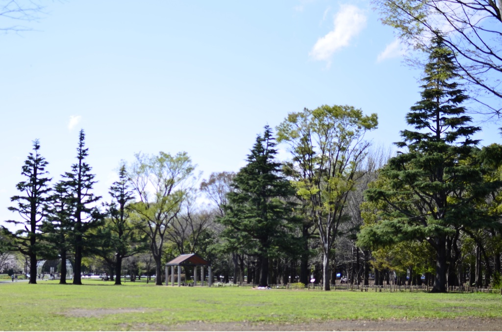 ２０１４．４．４　代々木公園