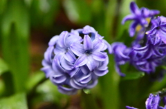 065
