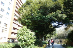 P1000033