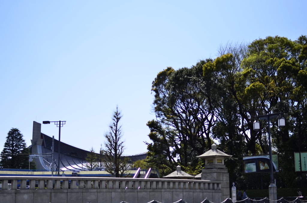 ２０１４．４．４　代々木公園