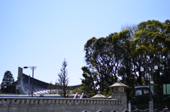 ２０１４．４．４　代々木公園