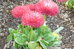 P1000029